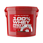 Scitec Whey Professional Whey Protein 5000 Gr