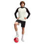Puma individualLIGA Training Şort Siyah Bej