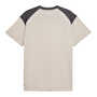 Puma Pumatech Essentials Kısa Kollu T-Shirt Bej Gri