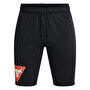 Under Armour Project Rock Terry Tri Şort Siyah