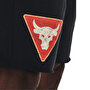 Under Armour Project Rock Terry Tri Şort Siyah